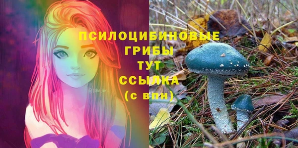круглые Вязьма