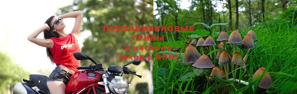 гашишное масло Чекалин